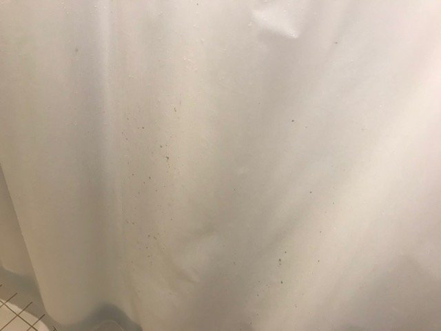 Residence Inn Largo Medical Center Drive主图