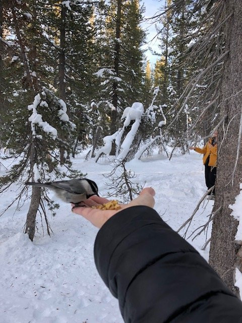 Tahoe Meadows Trail-因克莱恩村必去景点