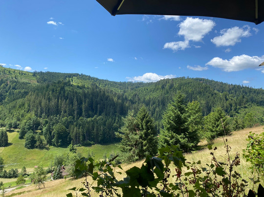 Blockhütte, Hotel Traube Tonbach