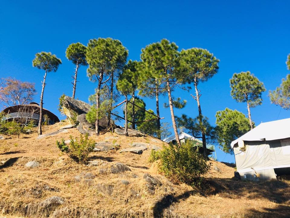 Seed At Queens Meadows, Ranikhet主图