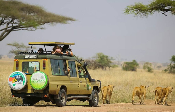 Nyange Adventures-莫西必去景点