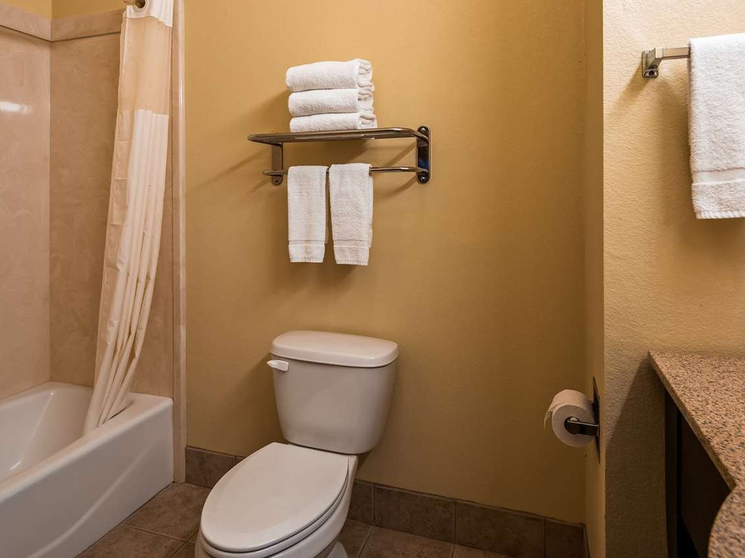 Best Western Littlefield Inn & Suites主图