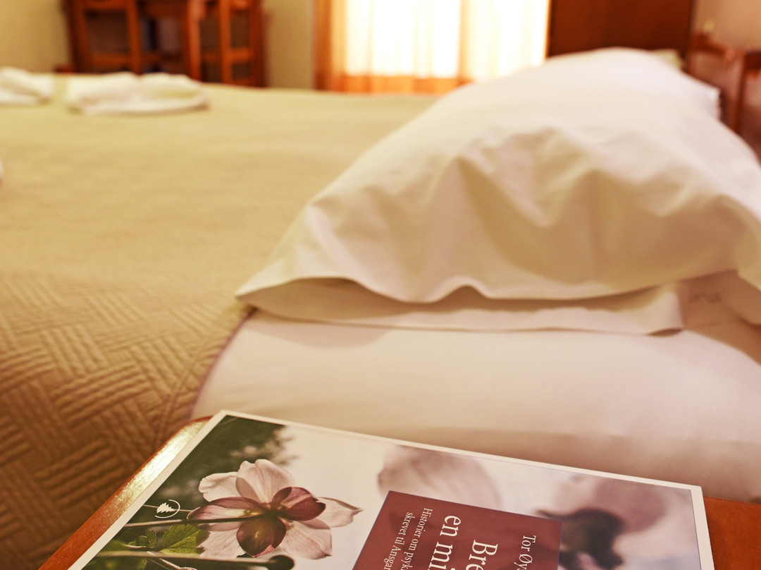 Iolkos Hotel Apartments Chania主图