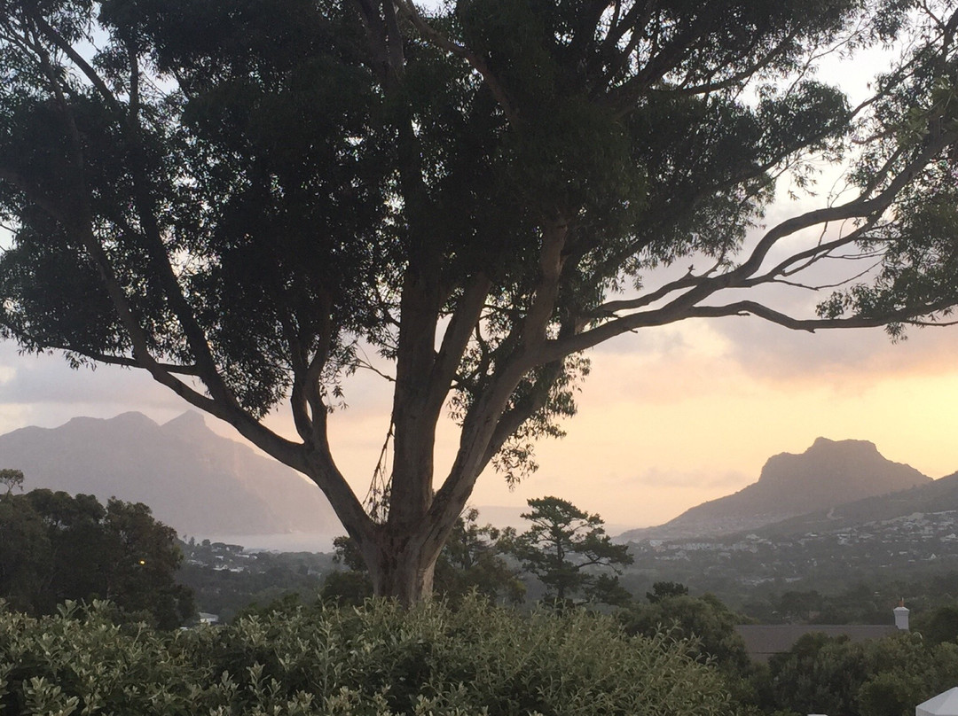 The Owl House Hout Bay主图