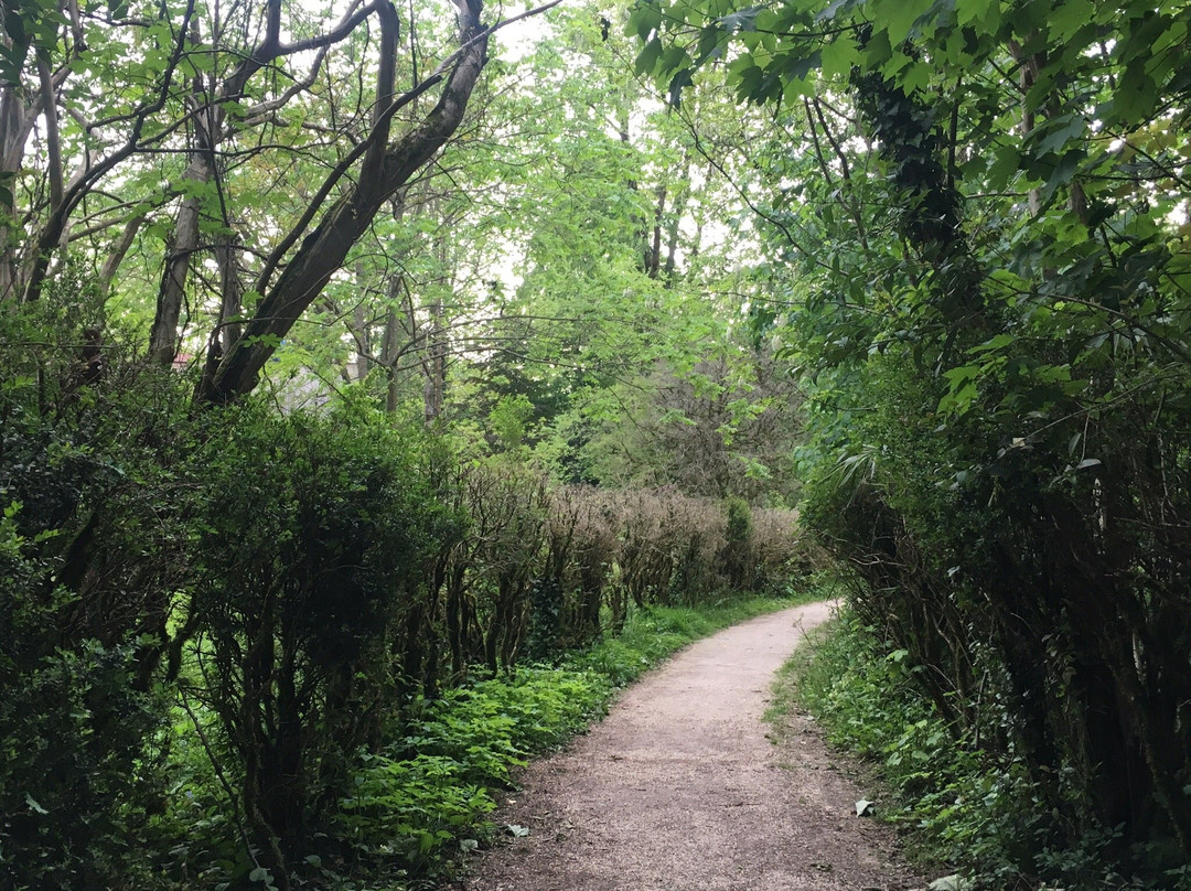 Zugdidi Botanical Garden-祖格迪迪必去景点