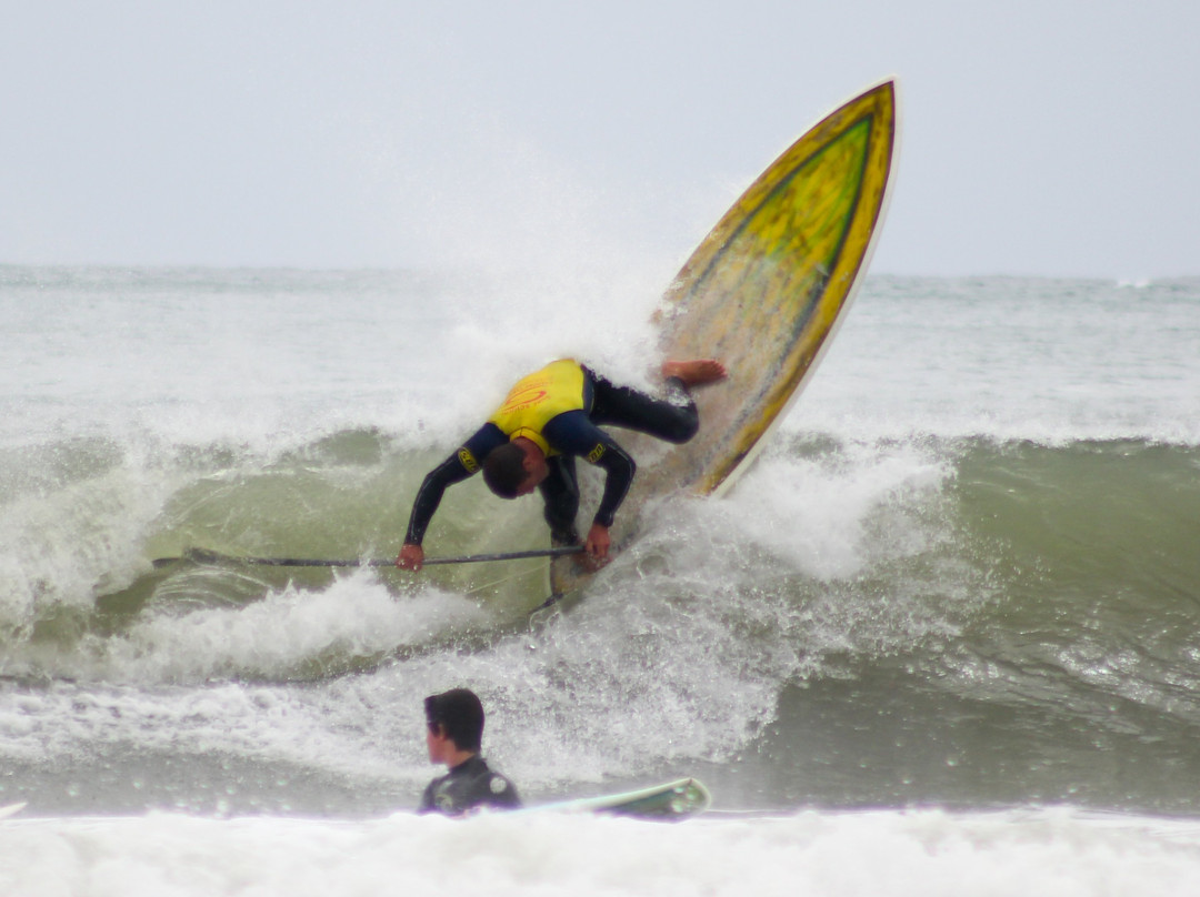 Evandro Santos Surf School景点图片