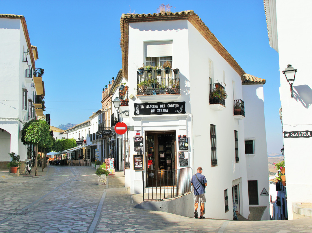 Live it up! Tours-塞维利亚必去景点