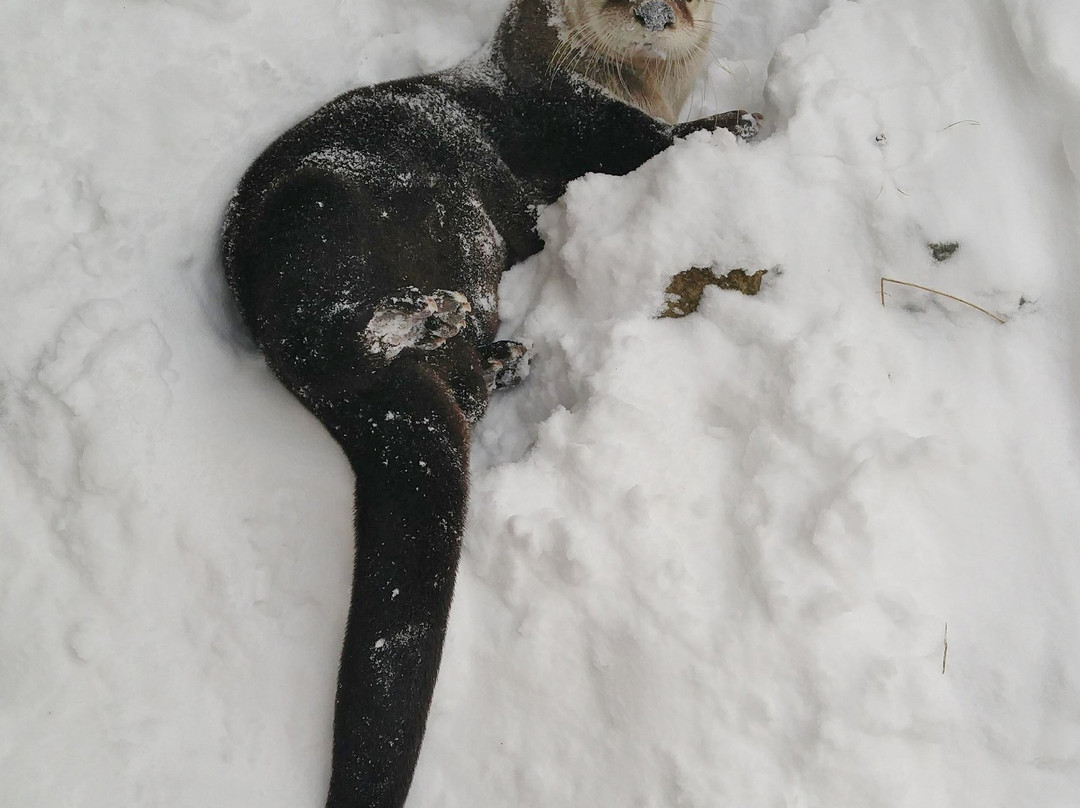 Musée de la Biodiversité du Québec-贝坎库尔必去景点