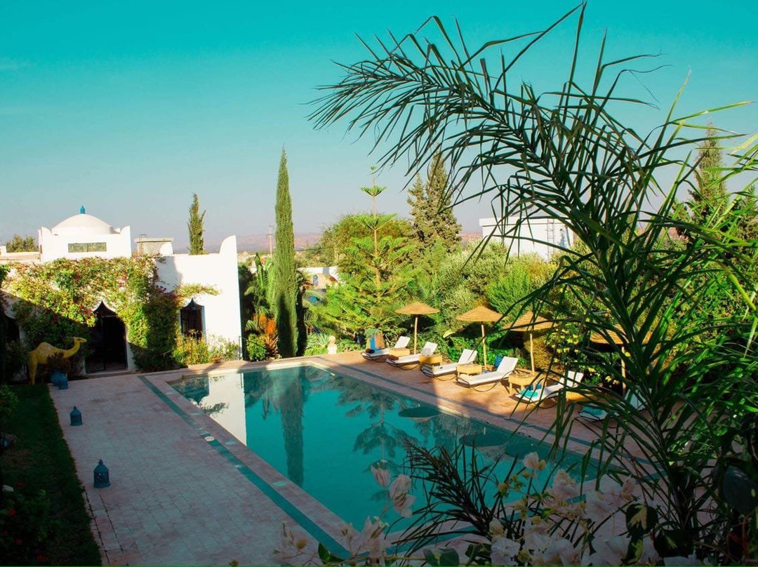 Ecrin De Mogador主图