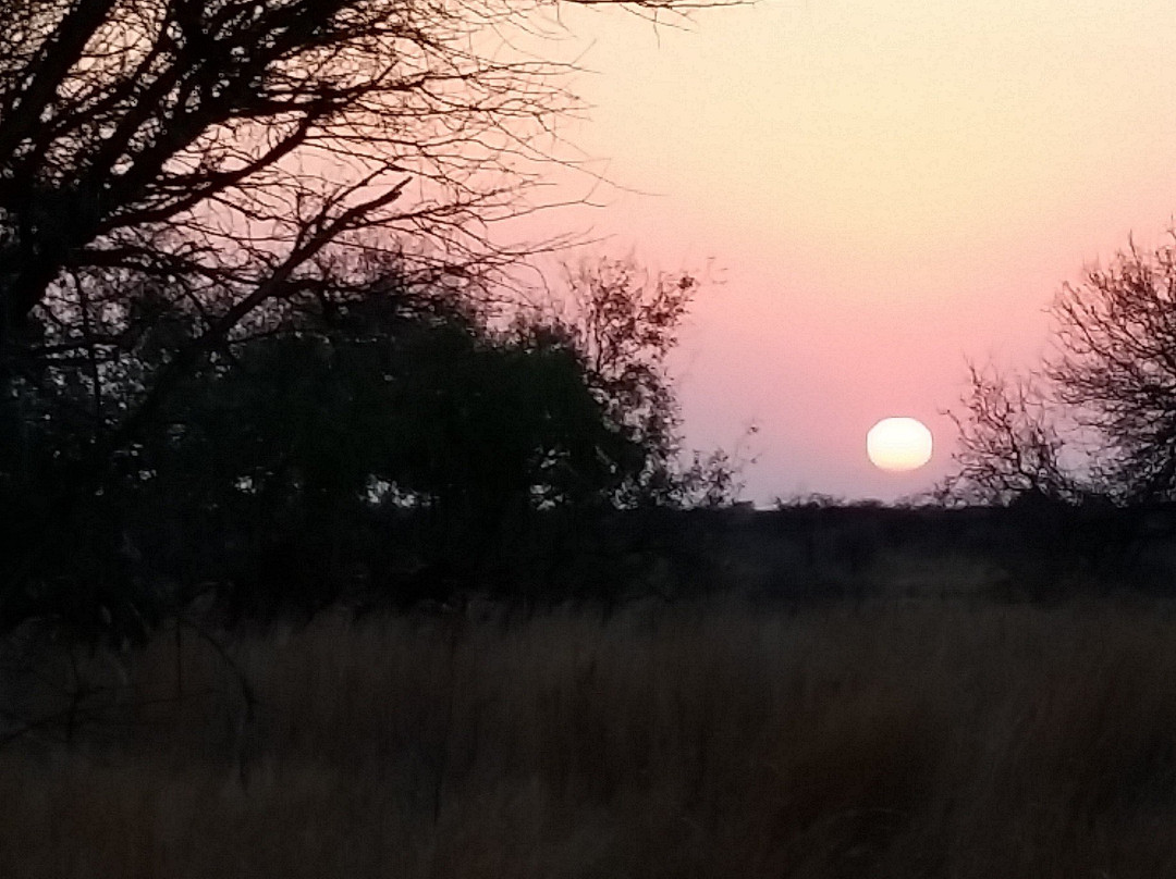 Sondela Nature Reserve Accommodation主图