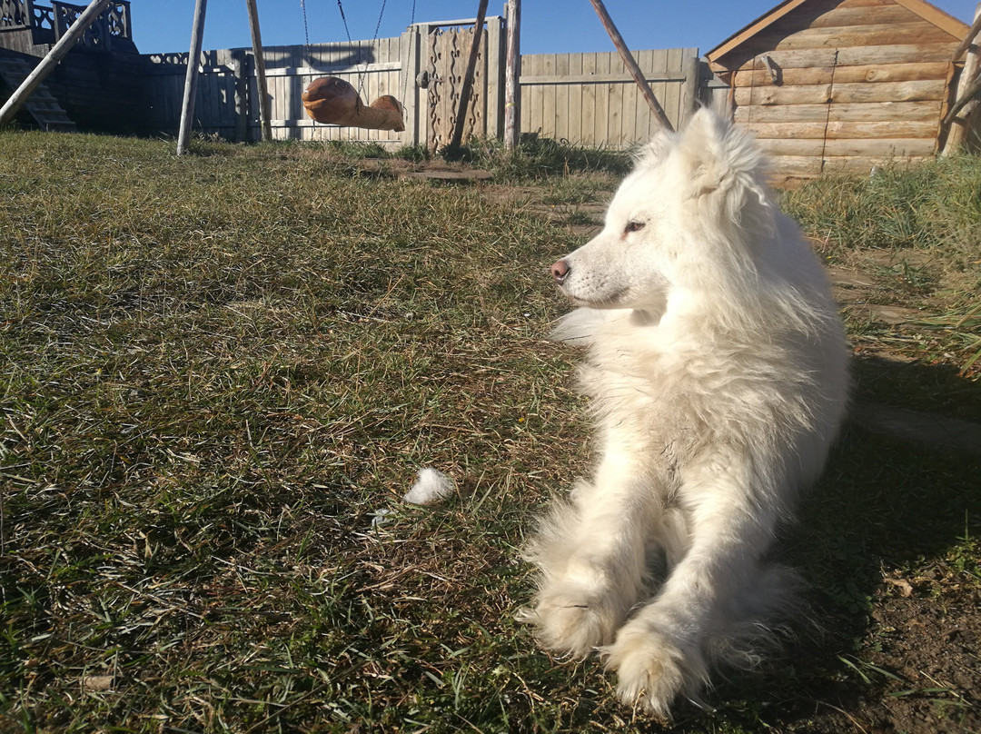 Baikalsky Plyos主图