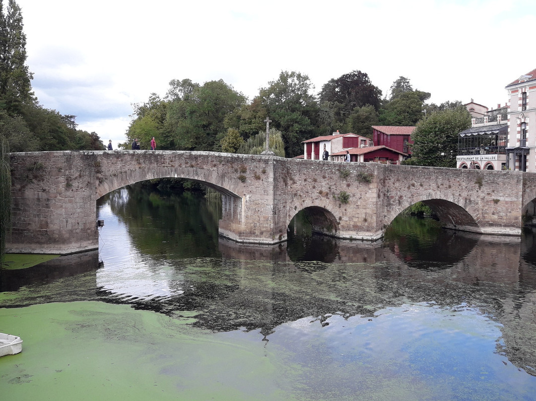 Pont de la Vallée景点图片