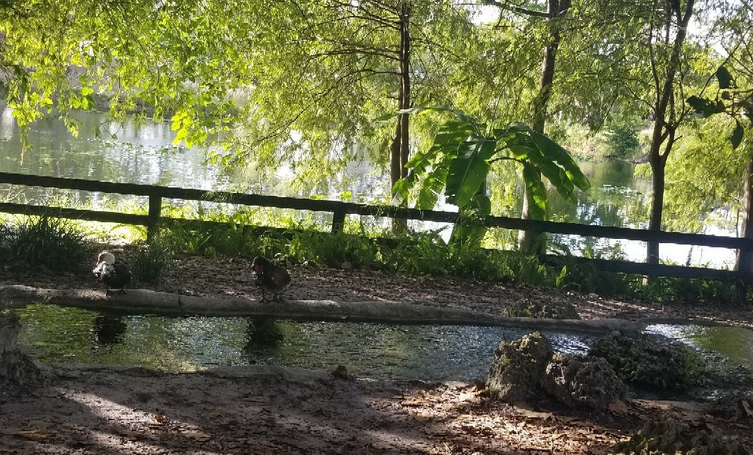 Amelia Earhart Park-海厄利亚必去景点