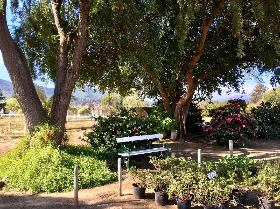 Jardin Suizo-卡萨布兰卡必去景点