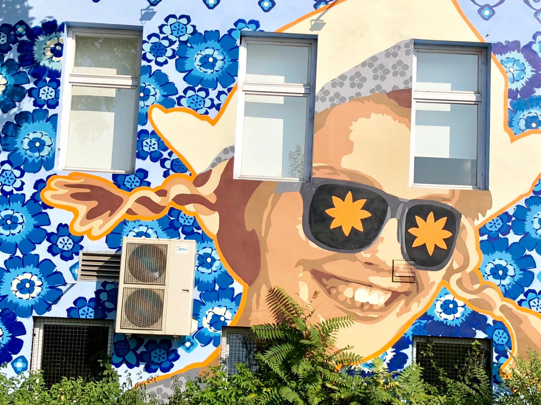 Street Up - Belgrade Street Art Tours-贝尔格莱德必去景点