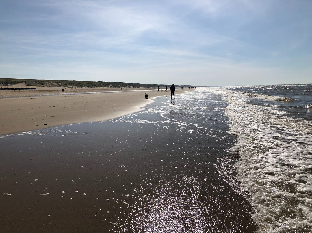 Honden strand Noordwijk景点图片