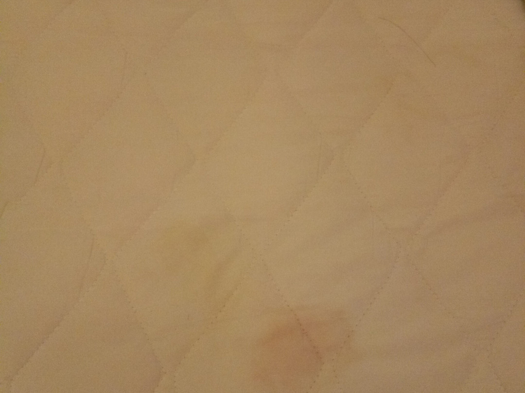 Sea Lion Firefly Concept Hotel主图