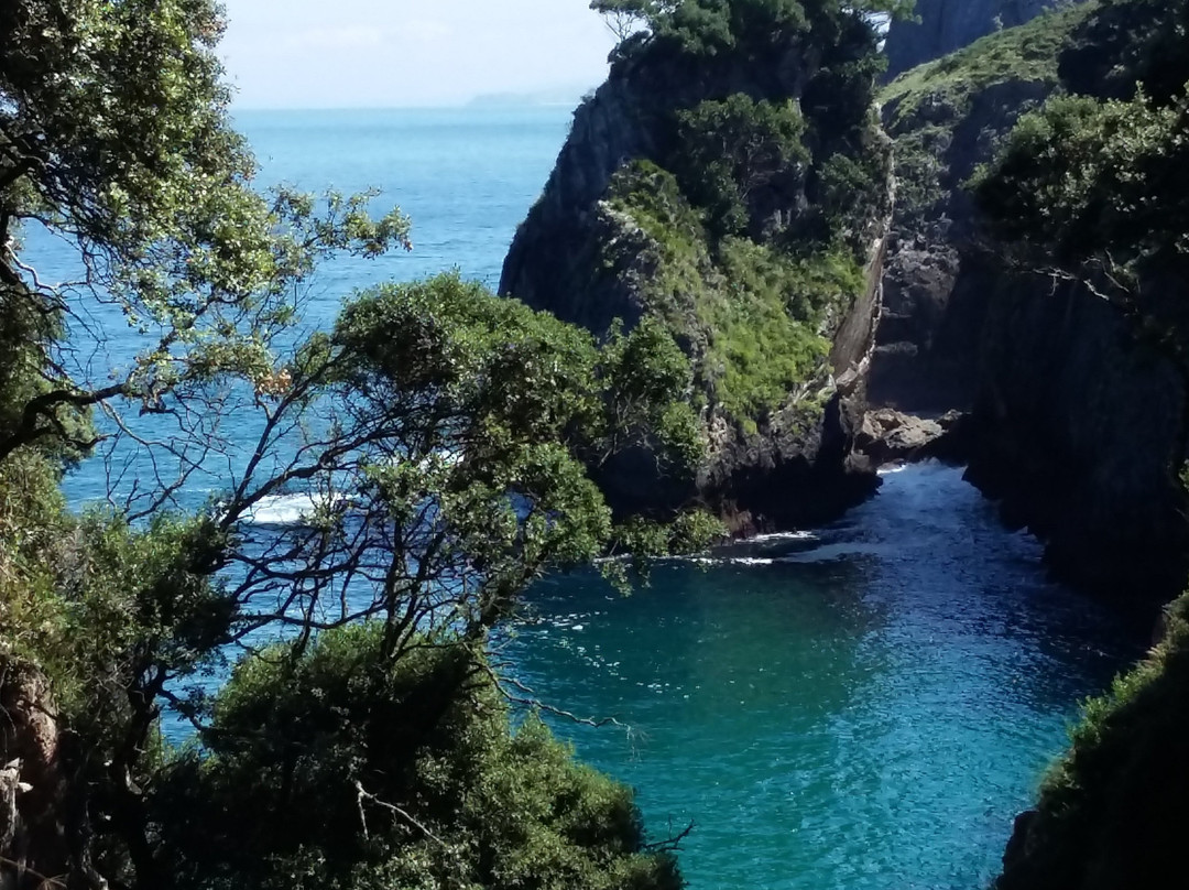 Cueva de El Pindal景点图片