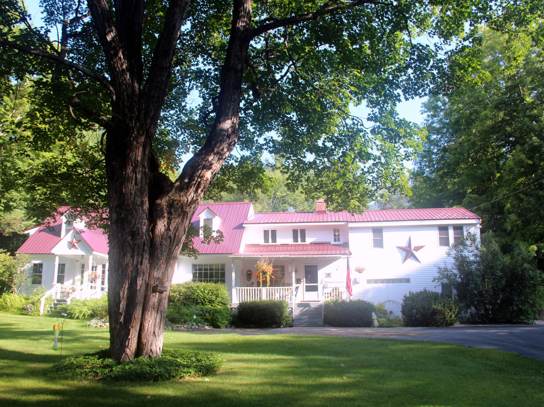 The Buttonwood Inn on Mount Surprise主图