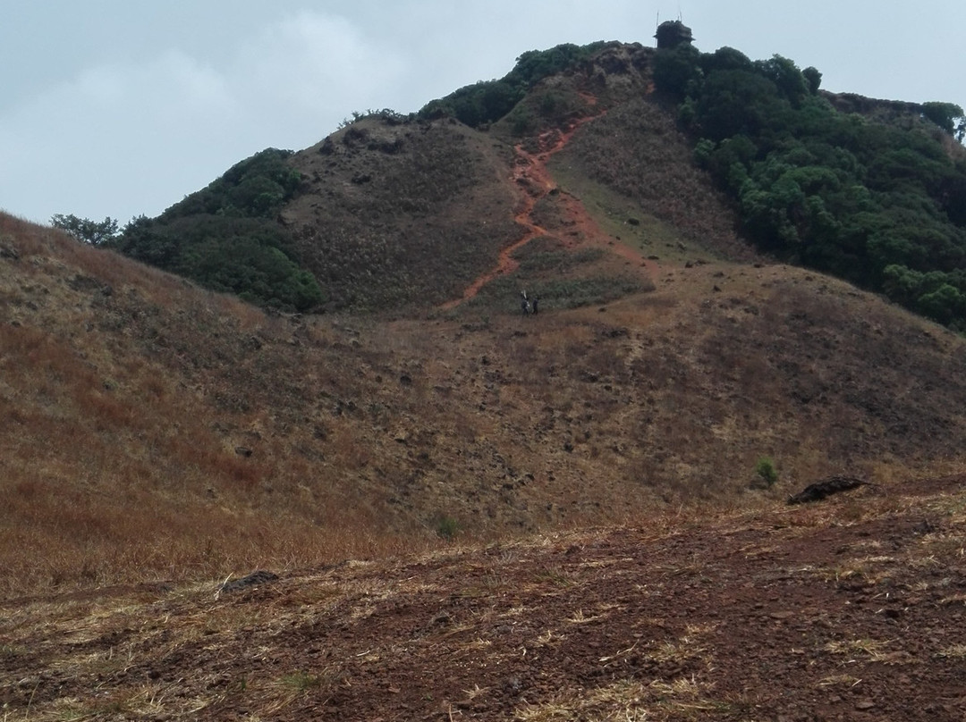 Mookambika Wildlife Sanctuary景点图片