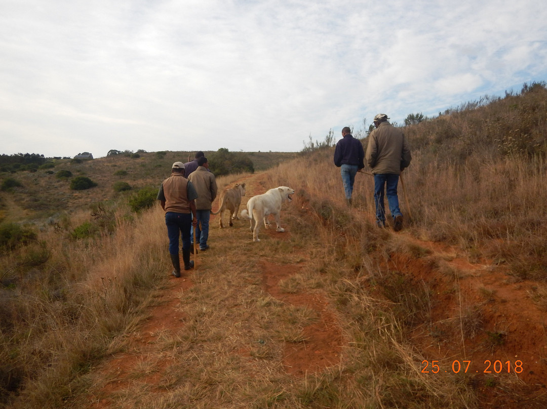 Zorgfontein Game Farm景点图片