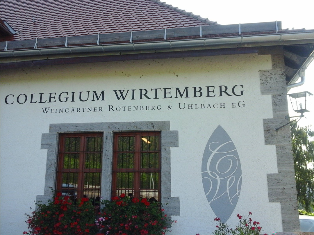 Collegium Wirtemberg景点图片