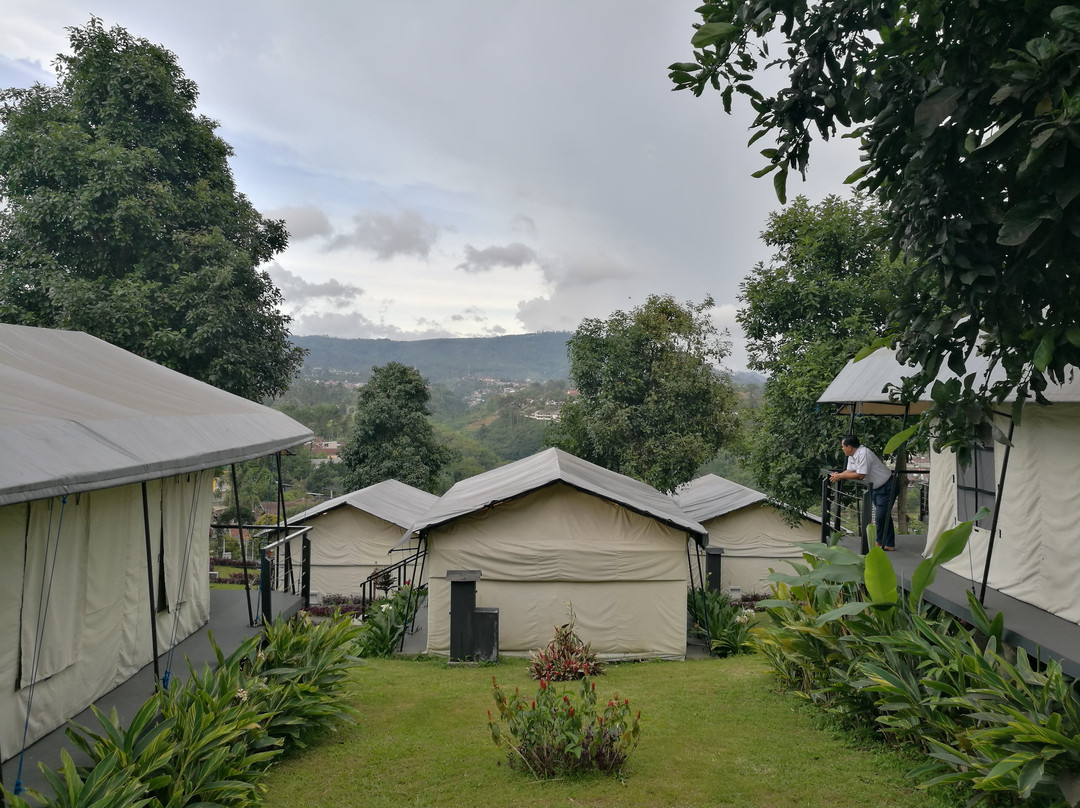 Trizara Resorts主图