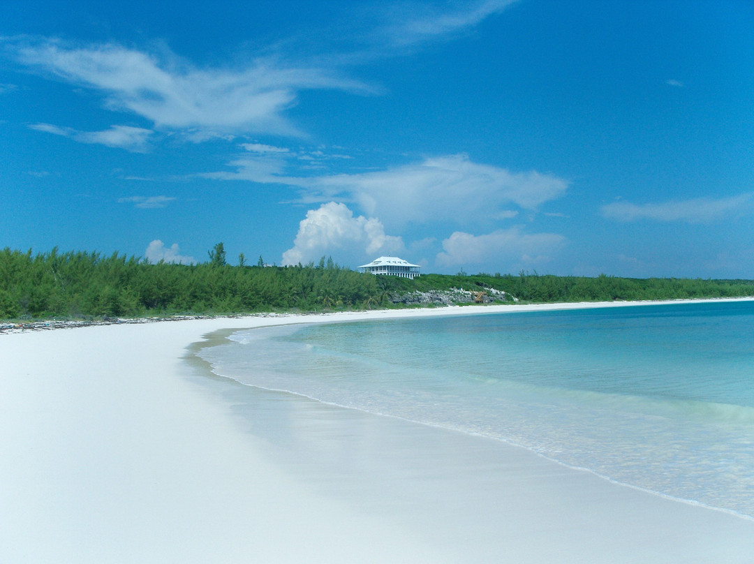 The Delphi Club主图