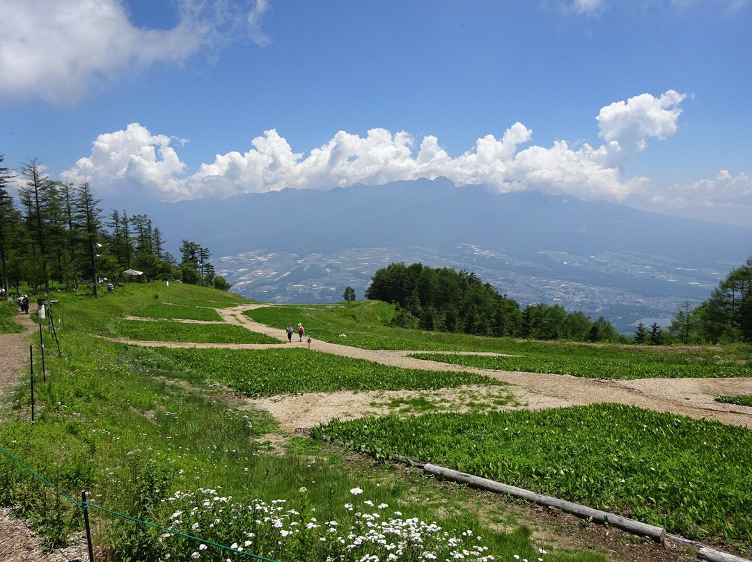 Fujimi Panorama Resort景点图片