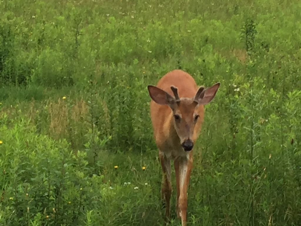 La Bête Golf Course-塔伯拉山必去景点