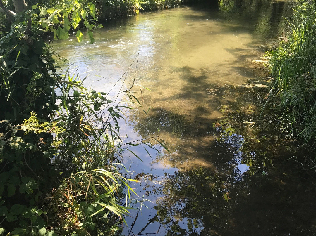 Centro Ippico Duca Dell'Adua-Robecco sul Naviglio必去景点