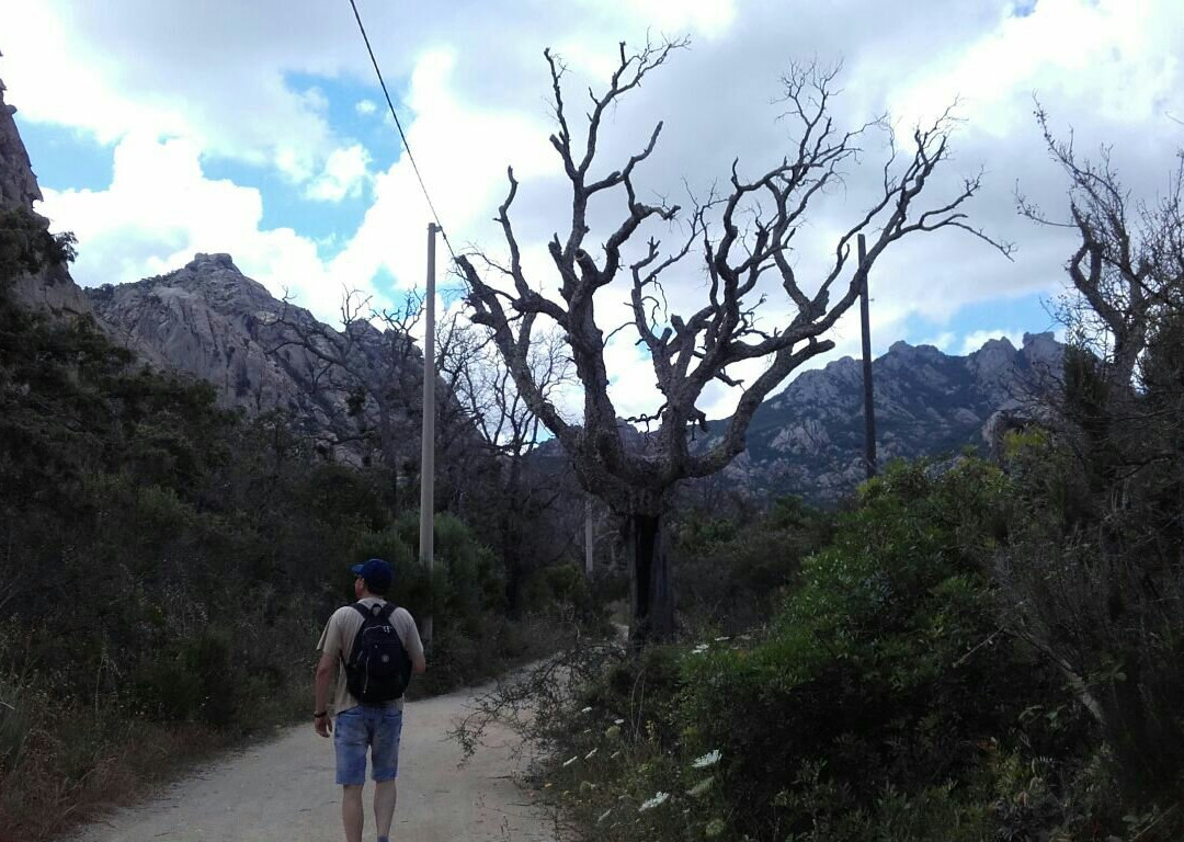 Stazzu Manzoni Hiking Trail景点图片