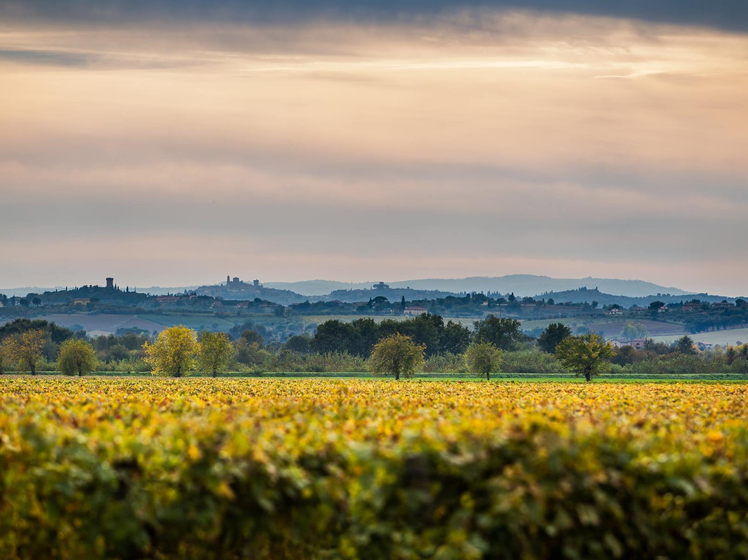 Cymon Taylor Photographer-圣奎里科多尔恰必去景点