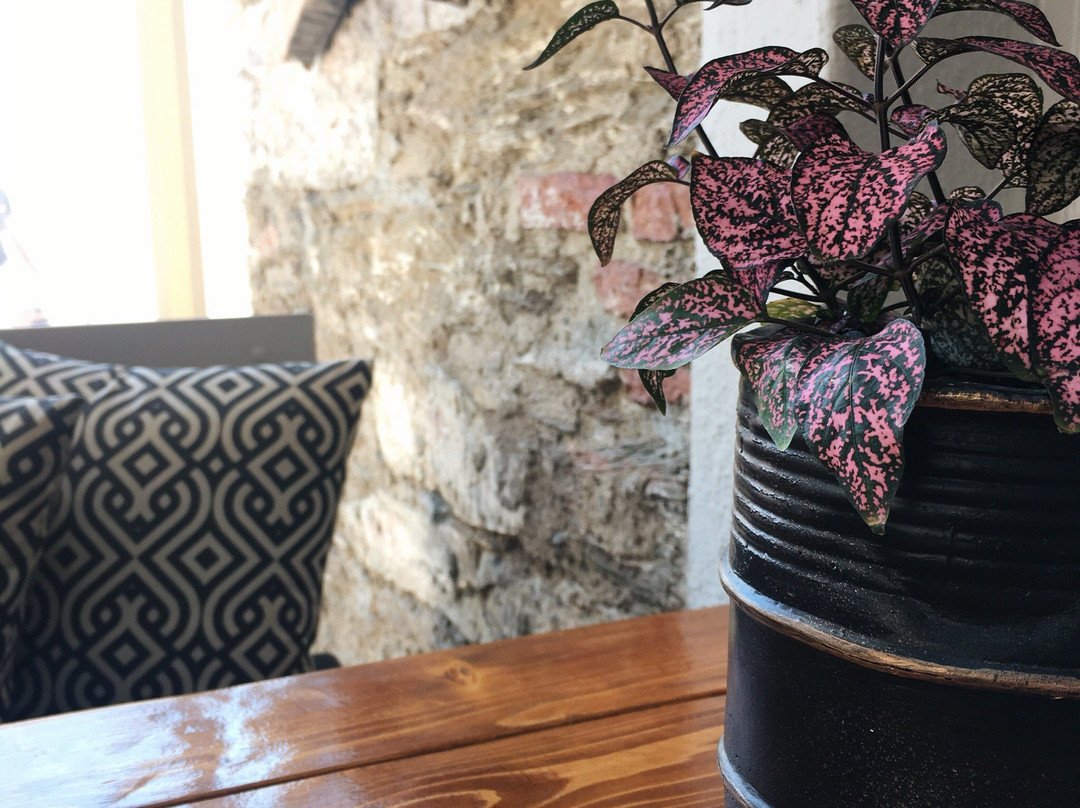 Ydrousa餐馆和美食-San Paramythi