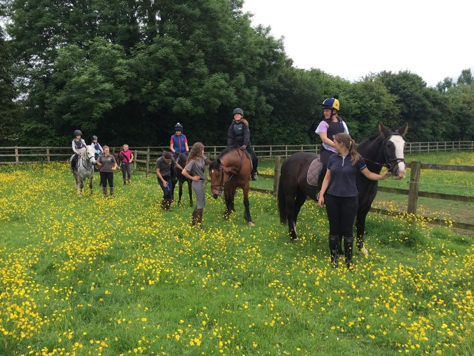 Catherington Equestrian Centre景点图片