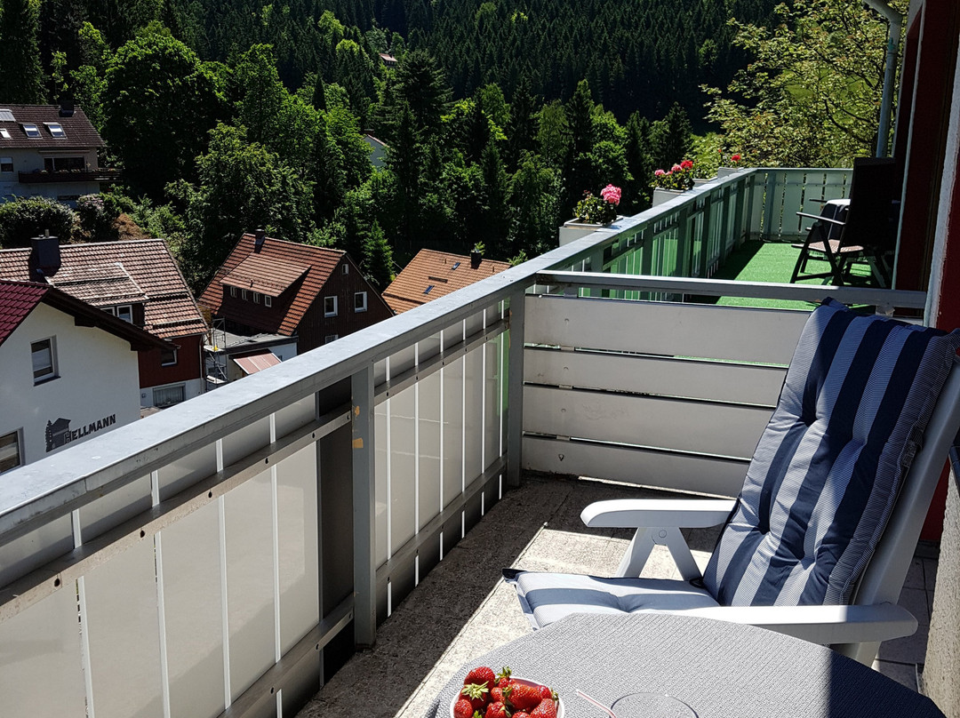 Hotel-Pension Jägerstieg主图