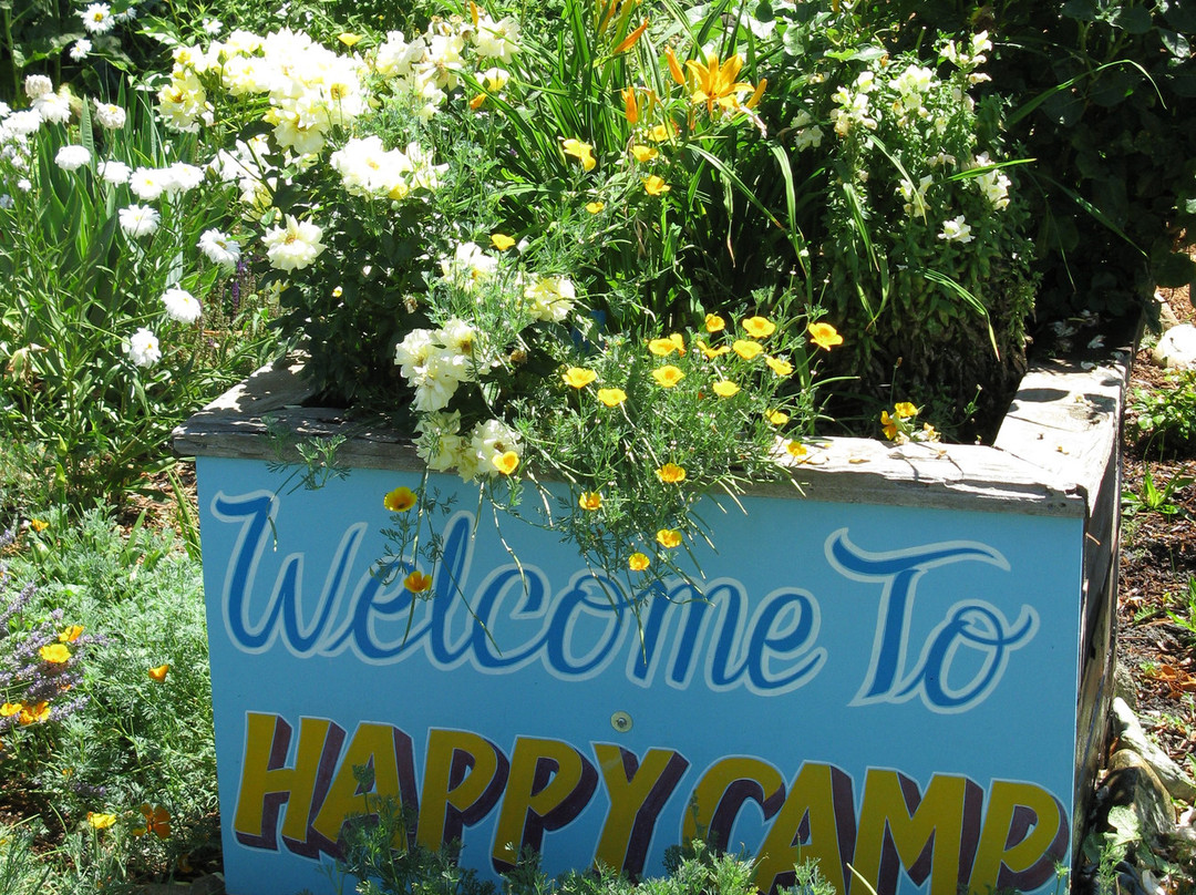 Forest Lodge Motel主图