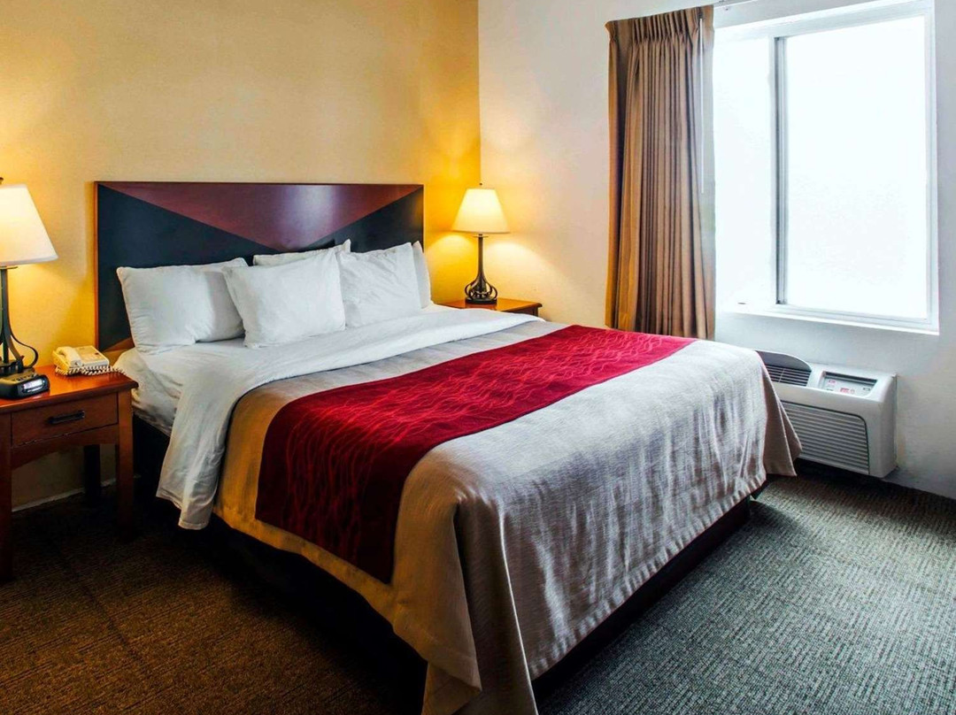 Comfort Inn & Suites主图