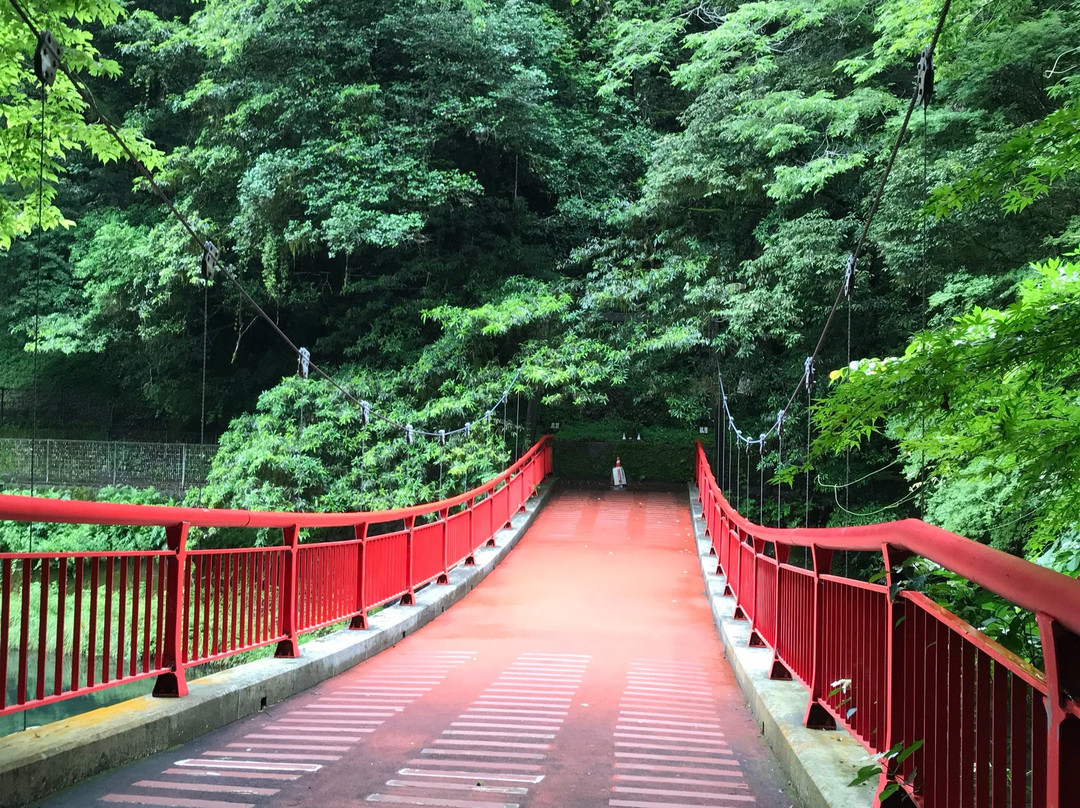 Kikuchi Gorge景点图片