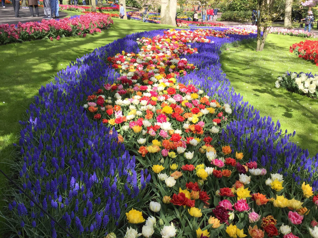 Guideservice Danmark-欧登塞必去景点