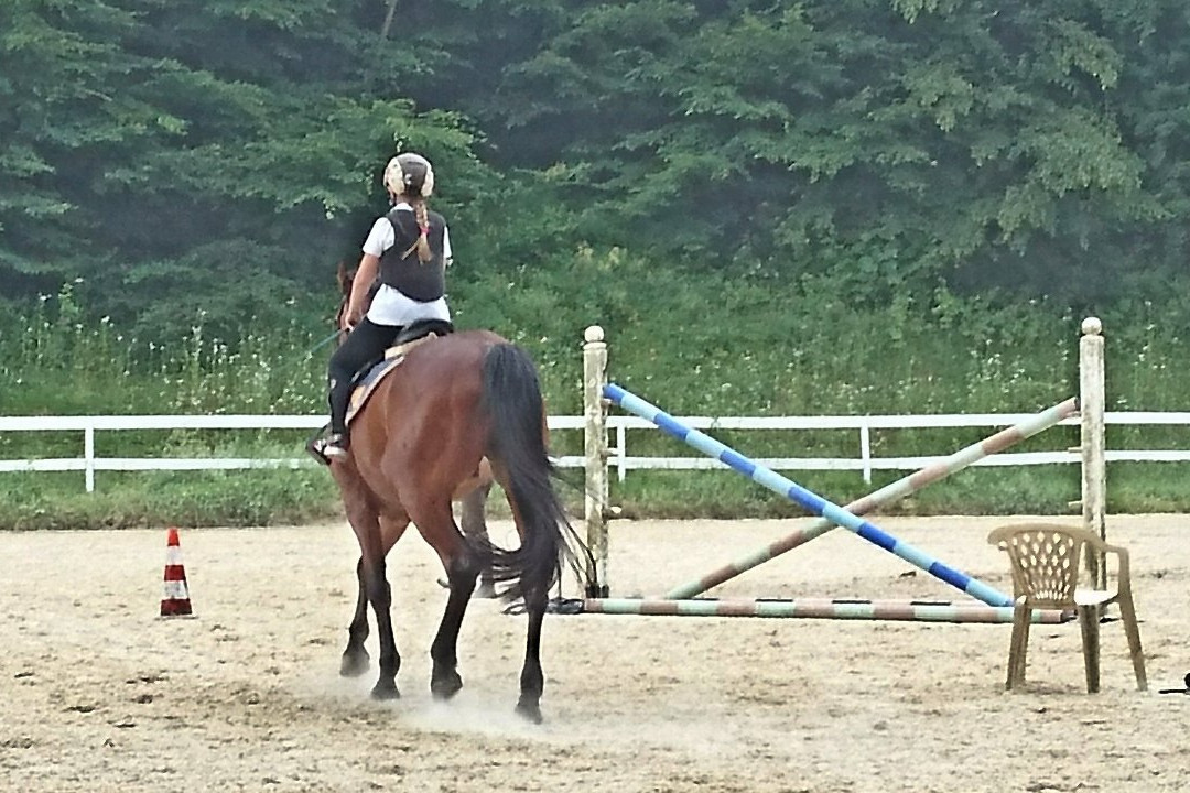 sLOVEnia HORSE RIDING-布莱德必去景点