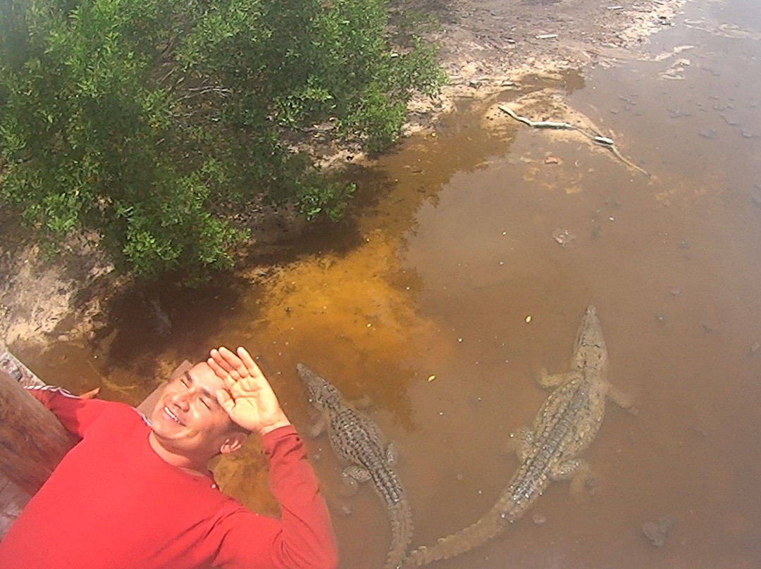 Parque Nacional de Arrecifes-Xcalak必去景点