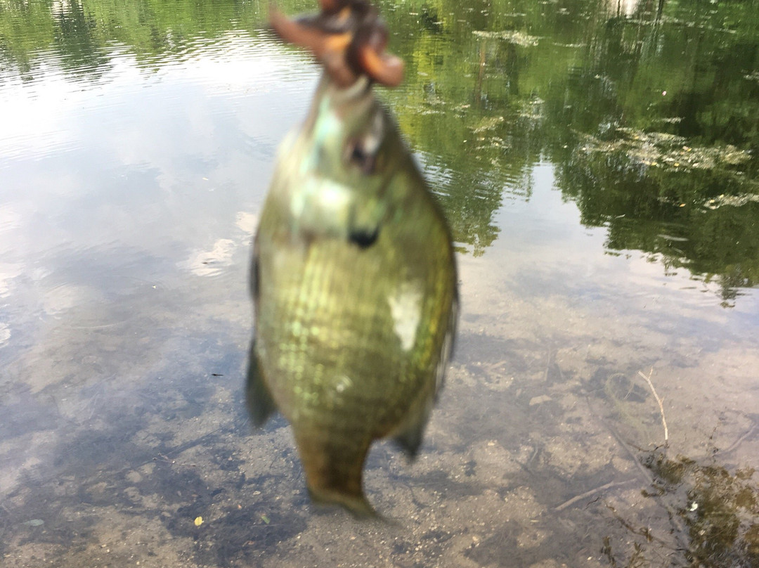 Rock Springs Conservation Area & Nature Center-迪凯特必去景点