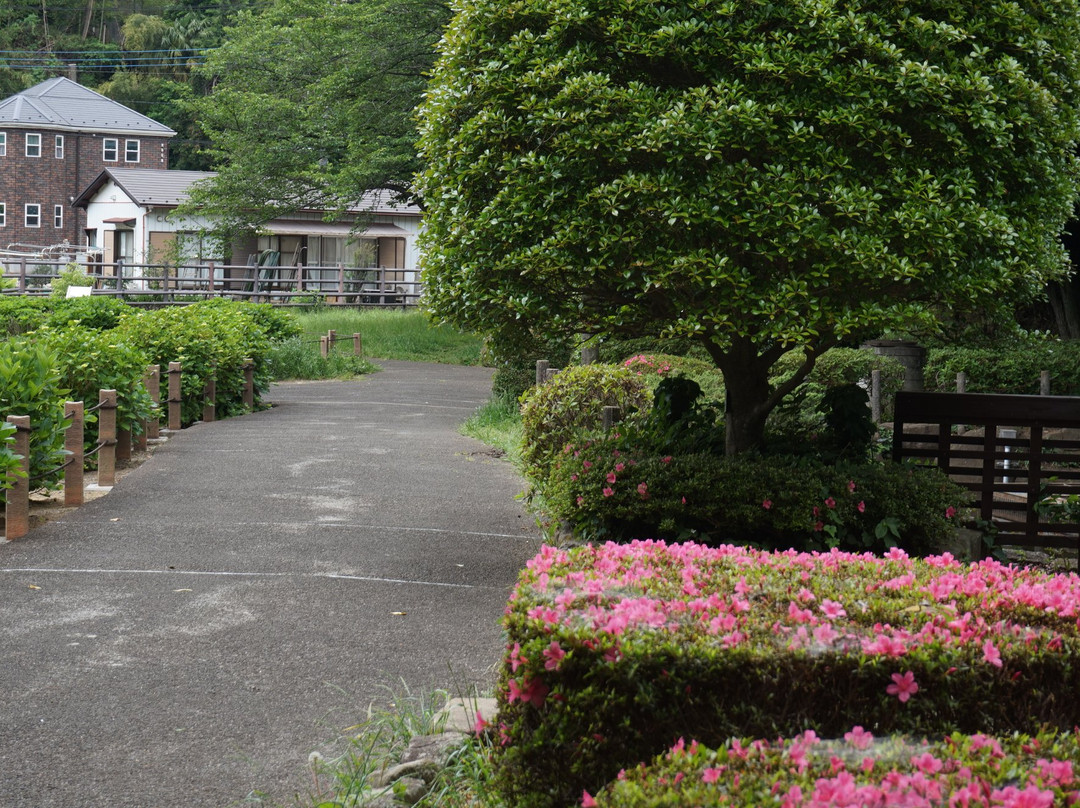 Serizawa Park景点图片