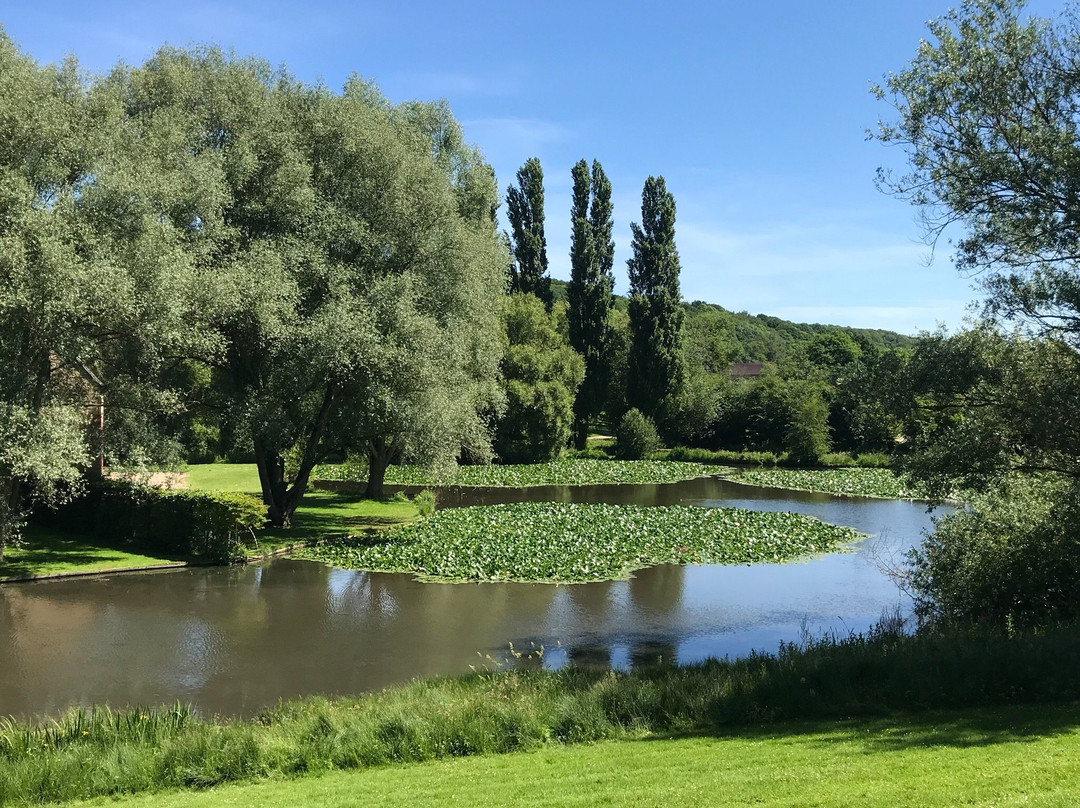 Parc de Rouelles-勒阿弗尔必去景点