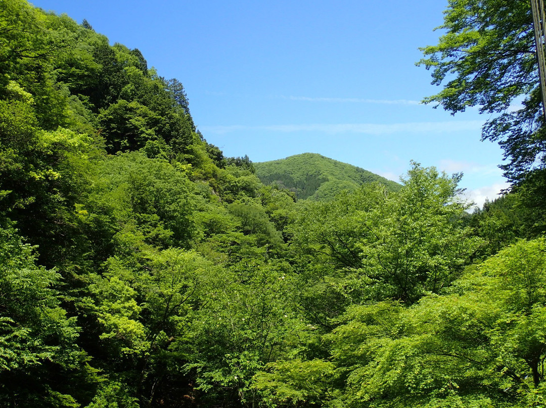 肉粟市旅游景点-Hara Fudo Waterfall