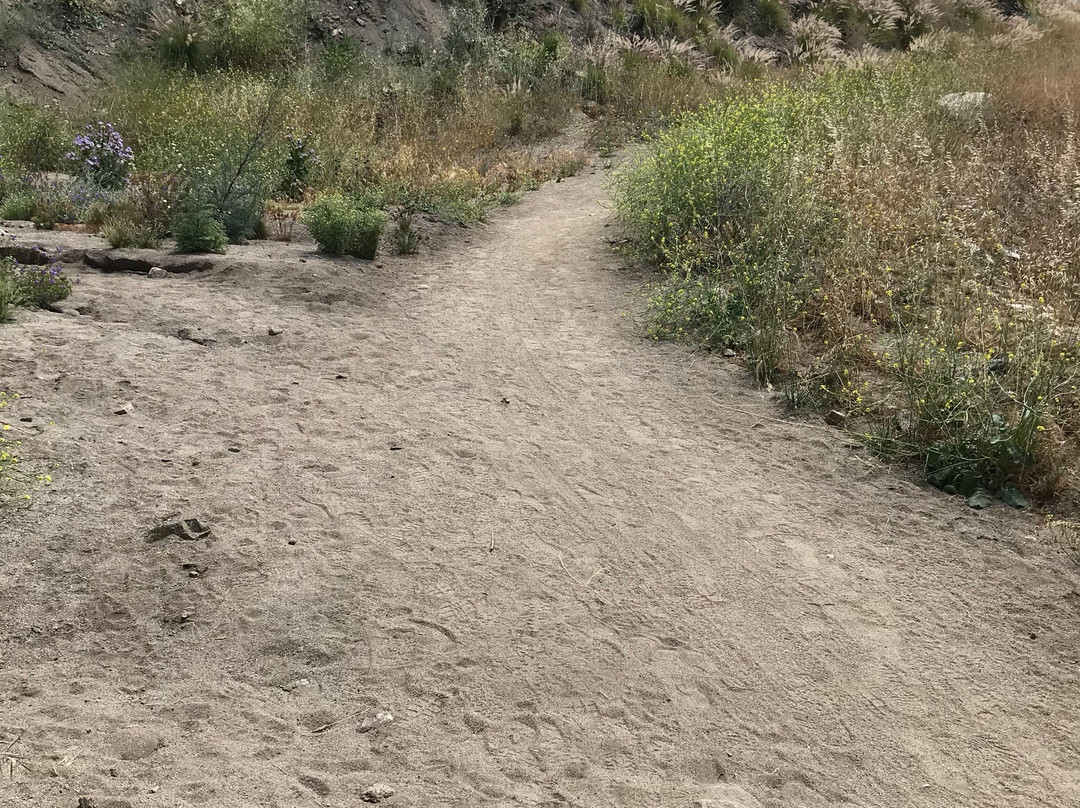 Stough Canyon Nature Center-伯班克必去景点