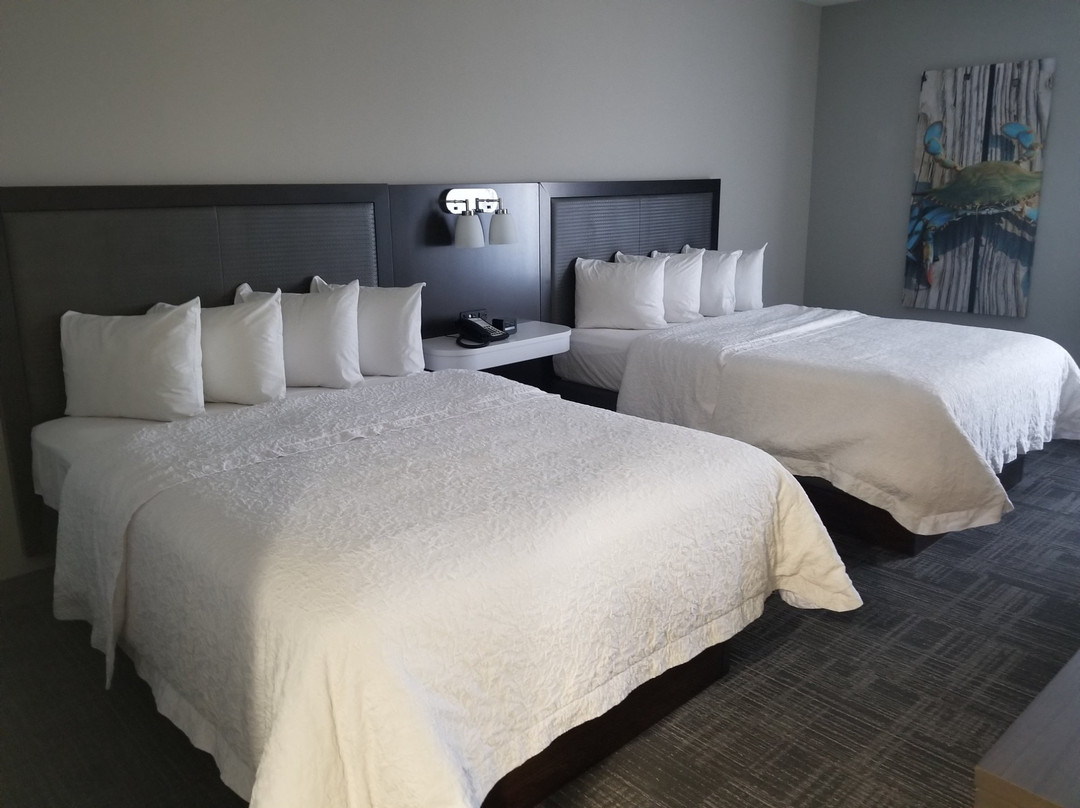 Hampton Inn Hagerstown-I-81主图