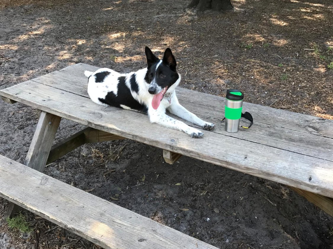 Woodmere Dog Park-威尼斯必去景点