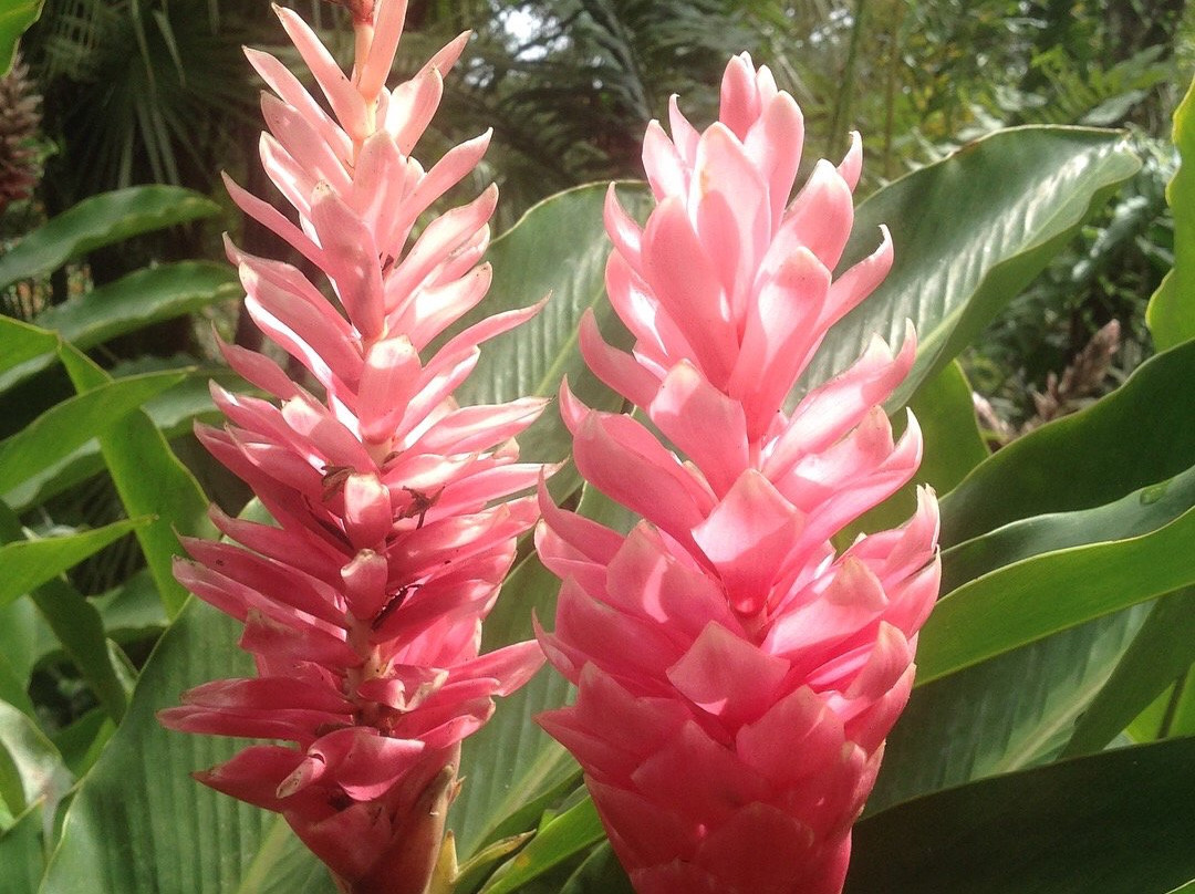 Posada Ecológica Casa María主图